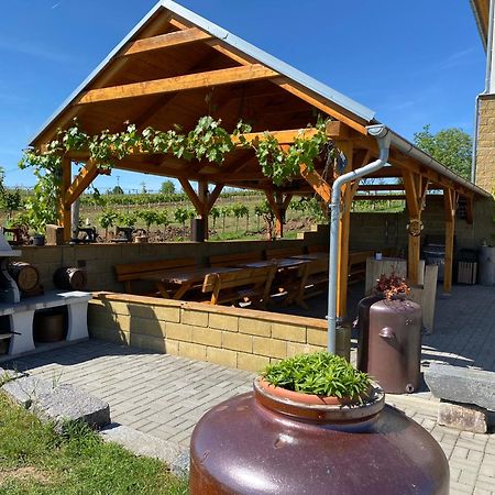 Vinarstvi & Penzion Knapek Strachotin Hotel Kültér fotó