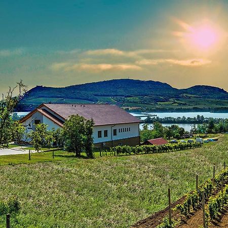 Vinarstvi & Penzion Knapek Strachotin Hotel Kültér fotó