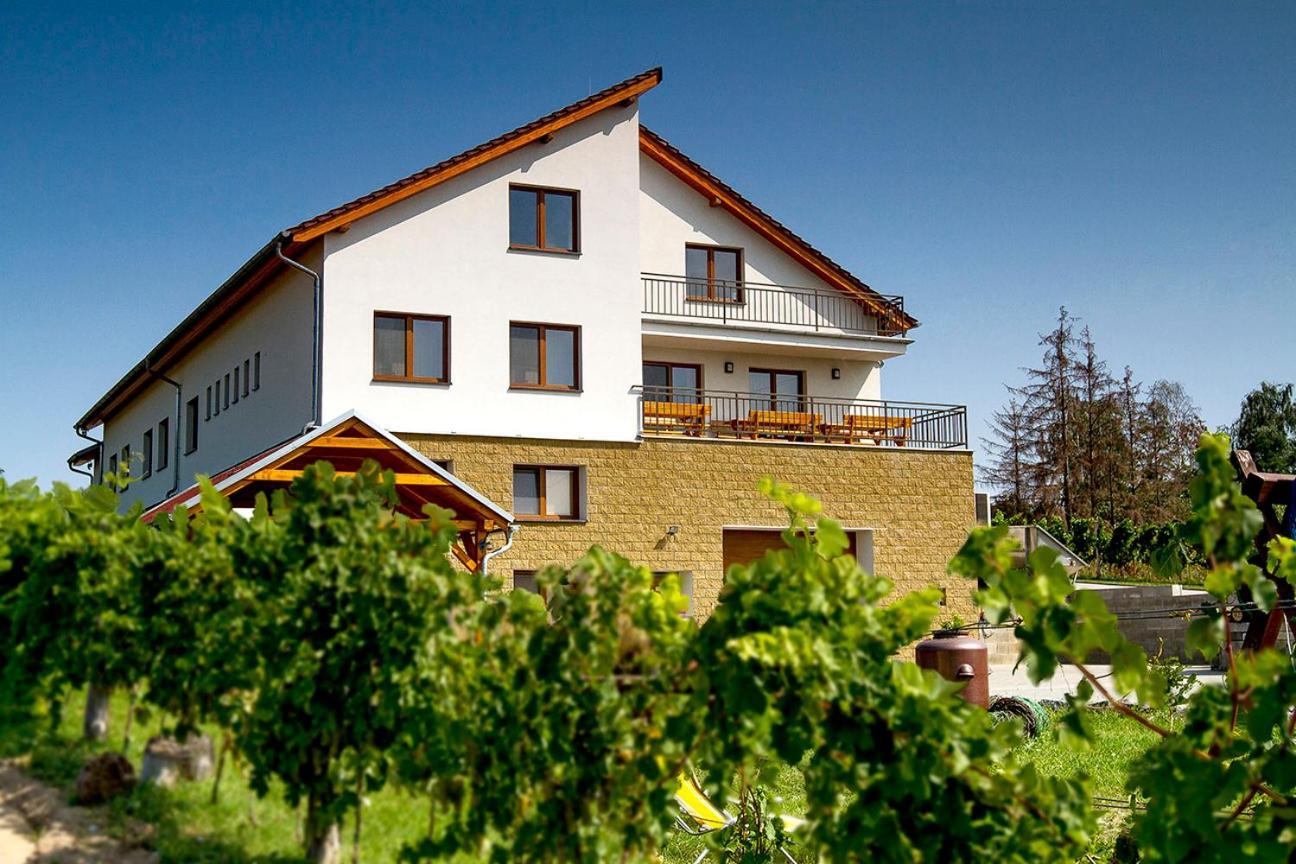Vinarstvi & Penzion Knapek Strachotin Hotel Kültér fotó